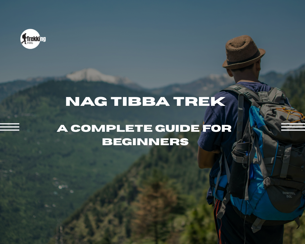 Nag Tibba Trek Guide